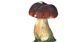 Cobian Backup 10 Boletus